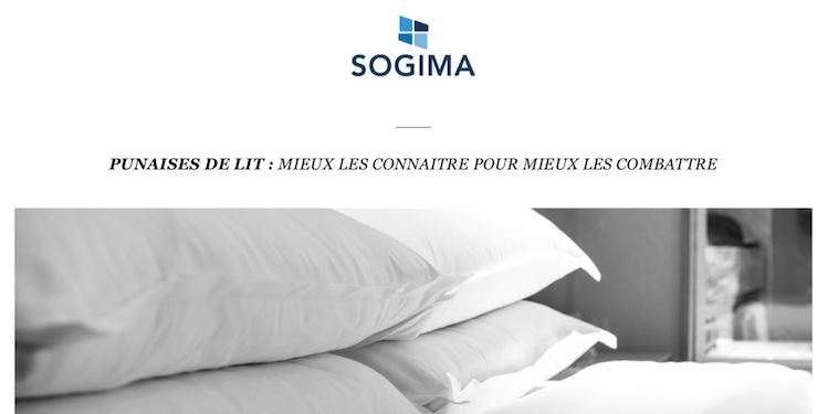 punaises-de-lit-comment-sen-debarrasser